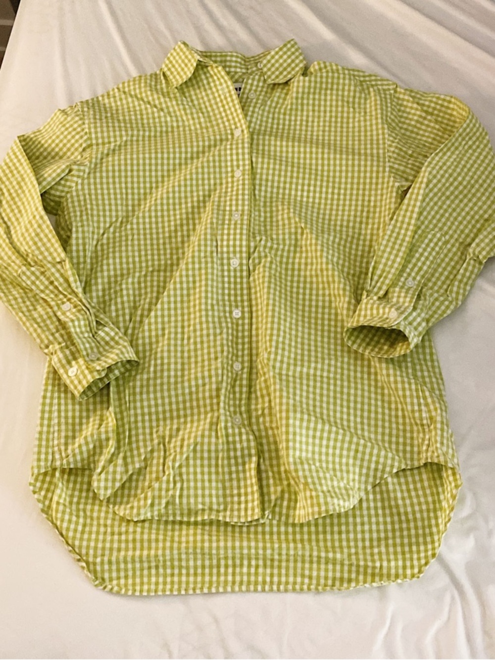 Aritzia Sunday Best Light Green Gingham Oversized Button-Down Shirt